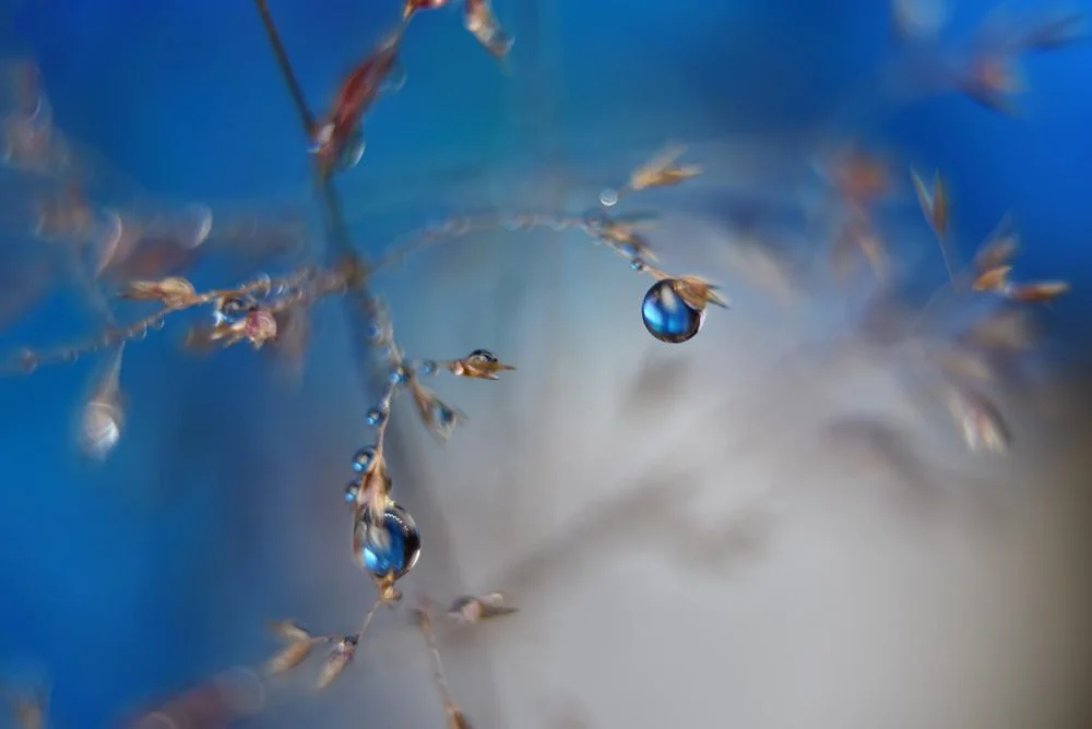 Blue rain