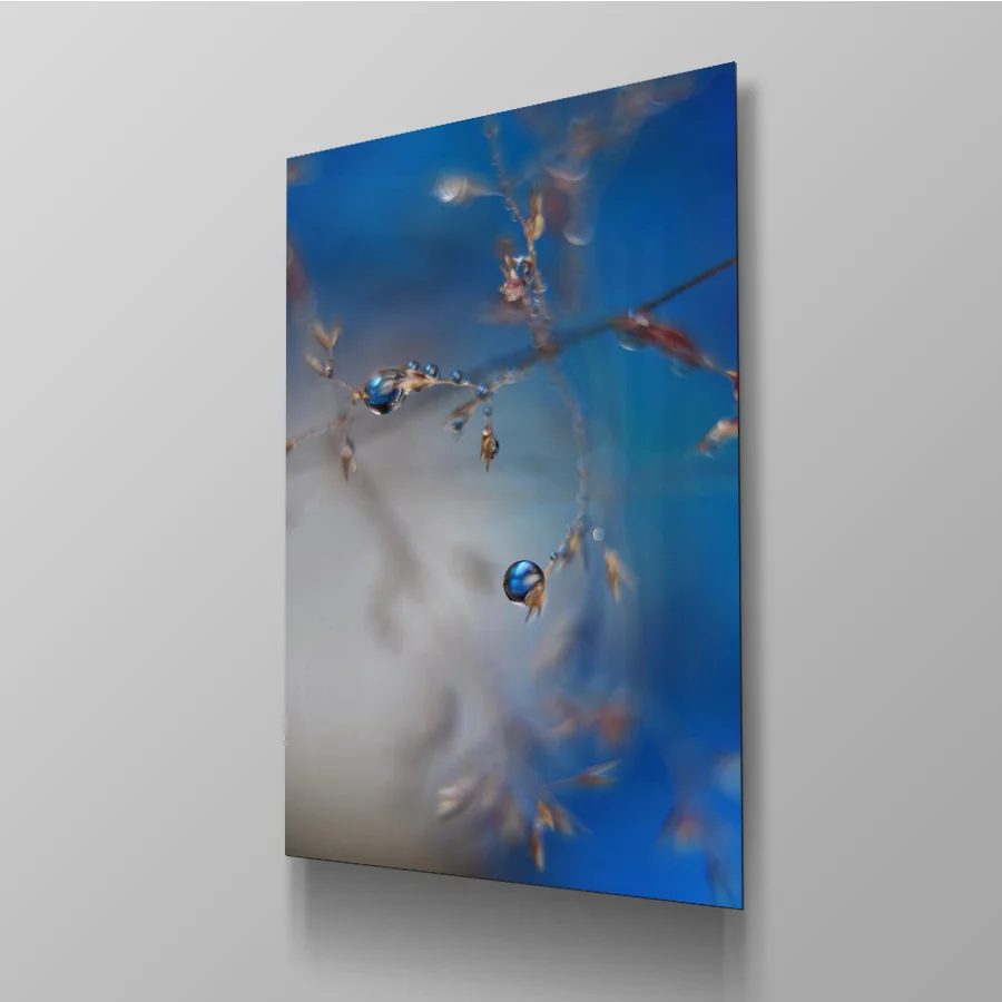 Blue rain - Afbeelding 11