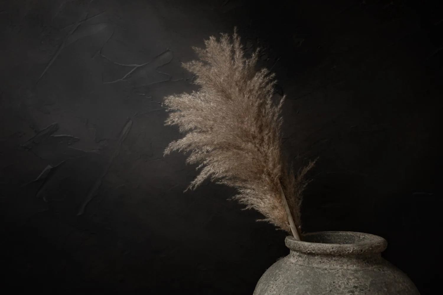 Donker stilleven met pampas pluimen Donker stilleven met pampas pluimen