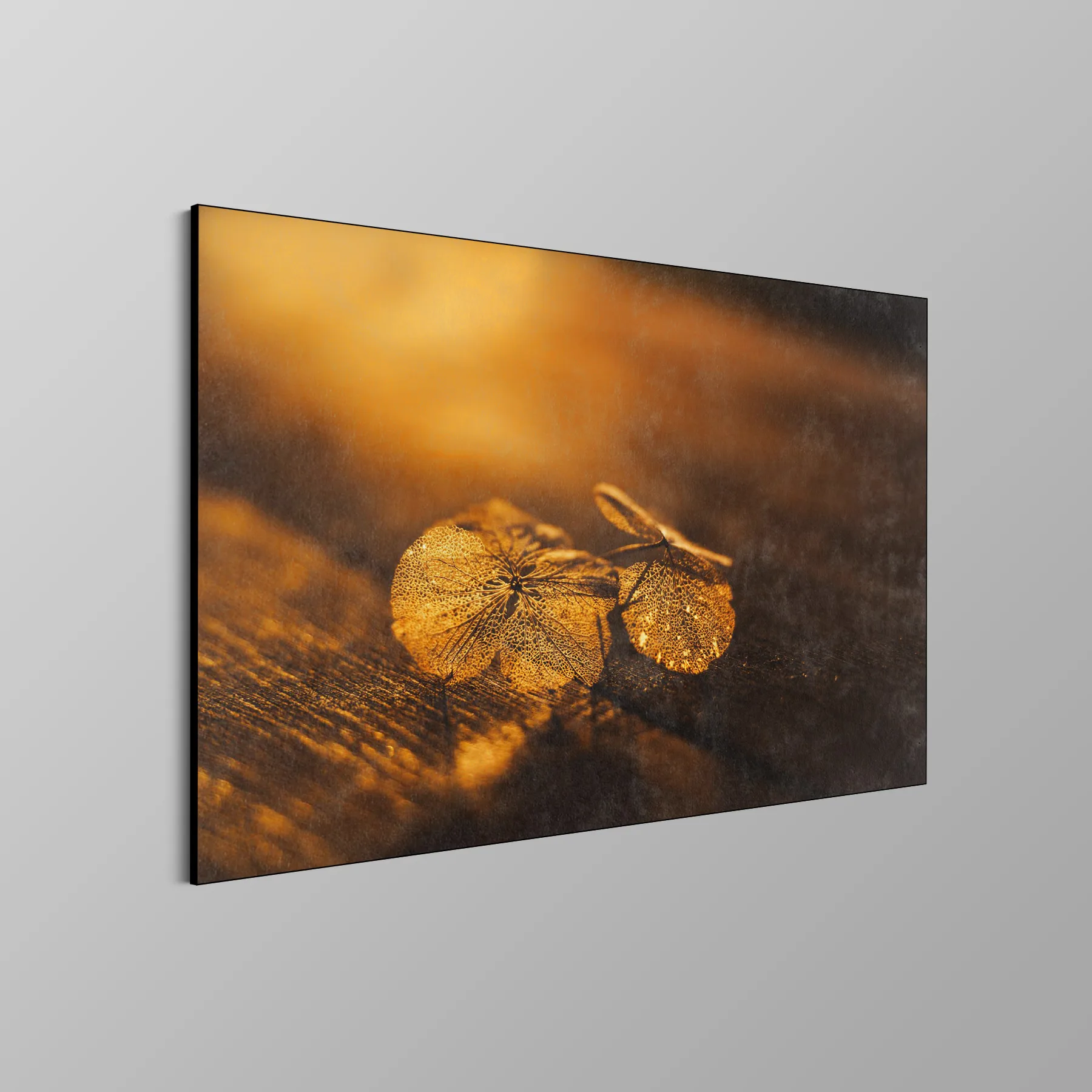 Fragiel Bloemblad in Gouden Zonlicht (Art Frame) Fragiel Bloemblad in Gouden Zonlicht (Art Frame) - Afbeelding 4