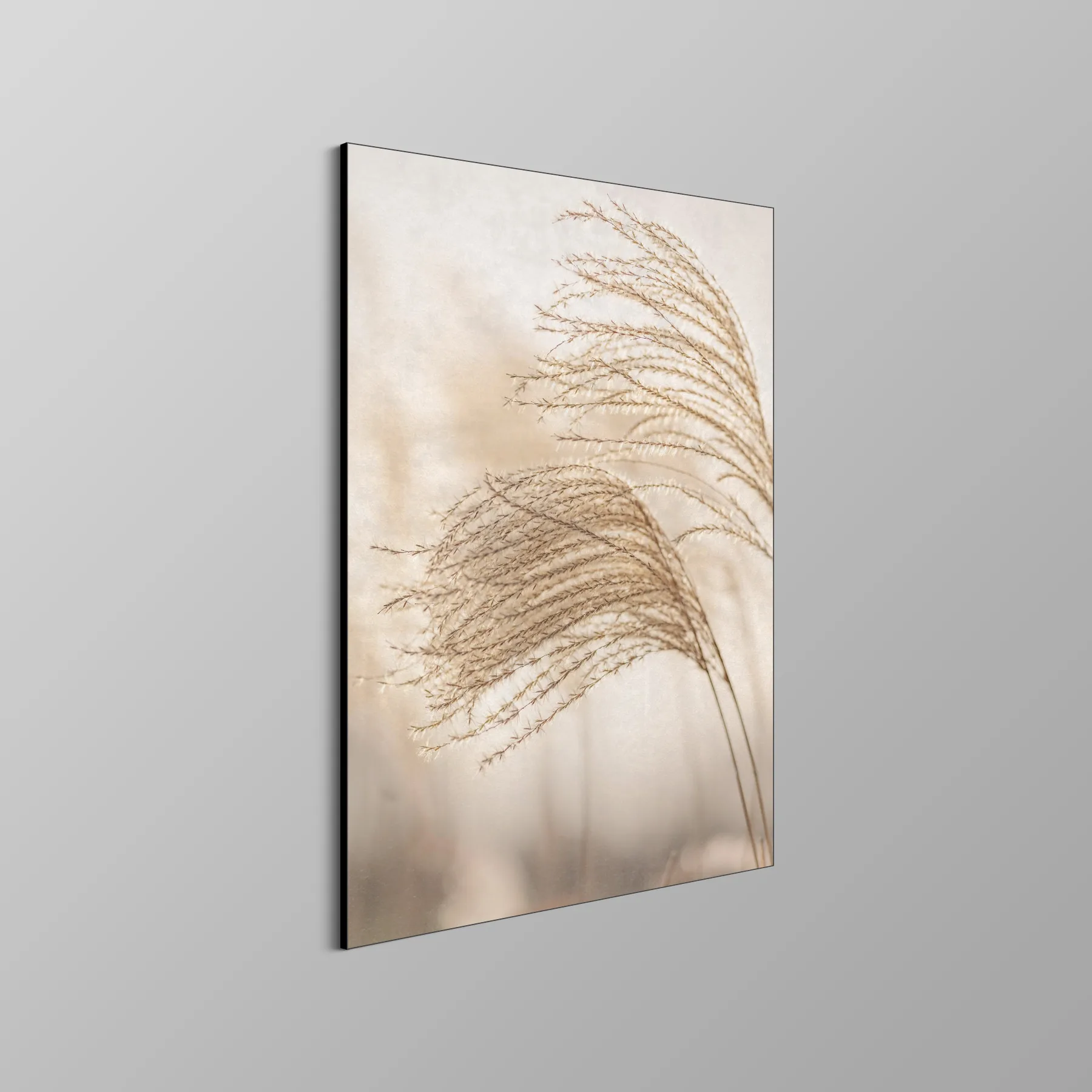 Rietpluimen in zacht licht (Art Frame) Rietpluimen in zacht licht (Art Frame) - Afbeelding 4