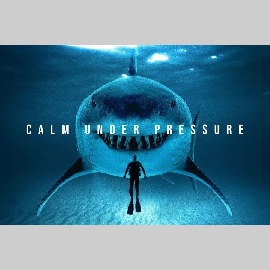 Calm under pressure - Afbeelding 10