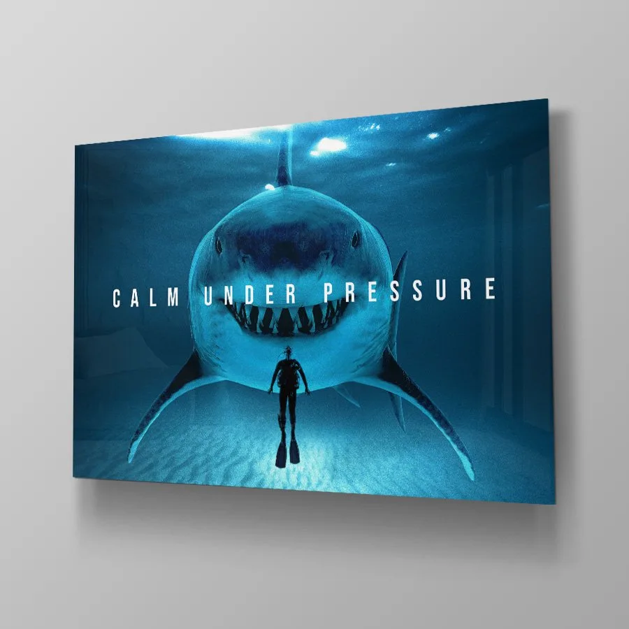 Calm under pressure - Afbeelding 4