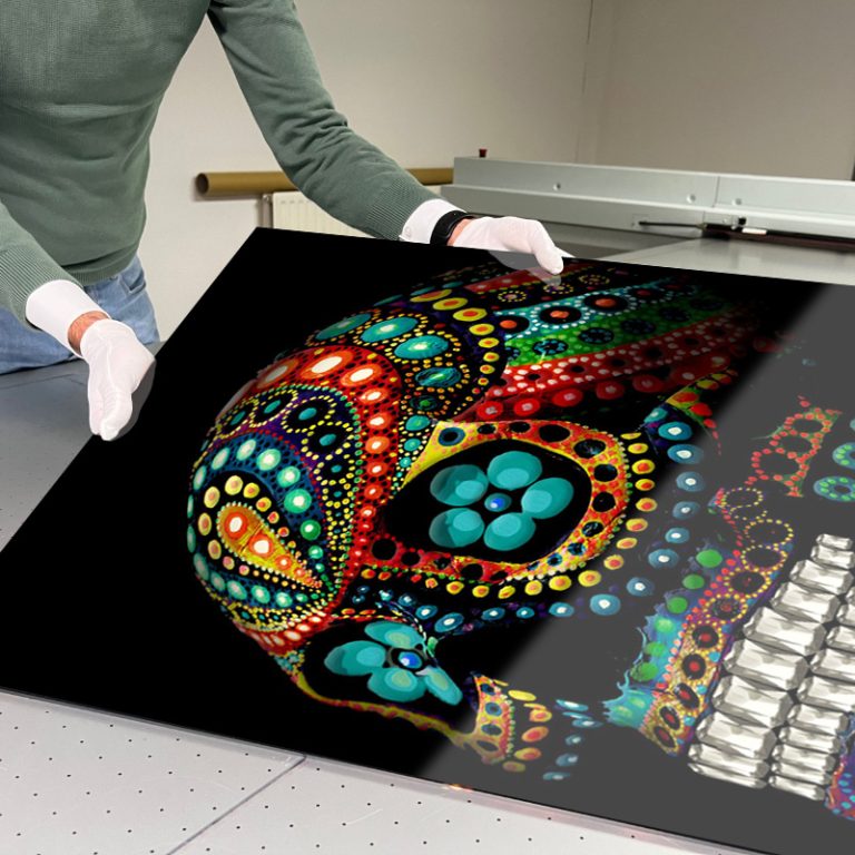 Color Skull plexiglas schilderij » XCLUSSO