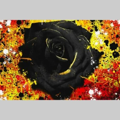 Black fire rose