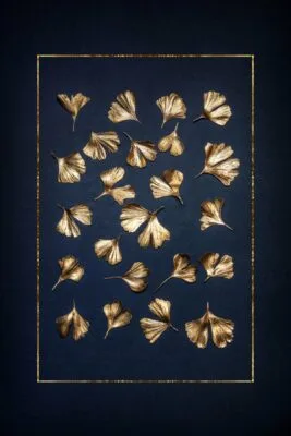 Golden Gingko Leaves Golden Gingko Leaves