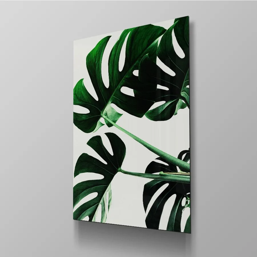Monstera Monstera - Afbeelding 4