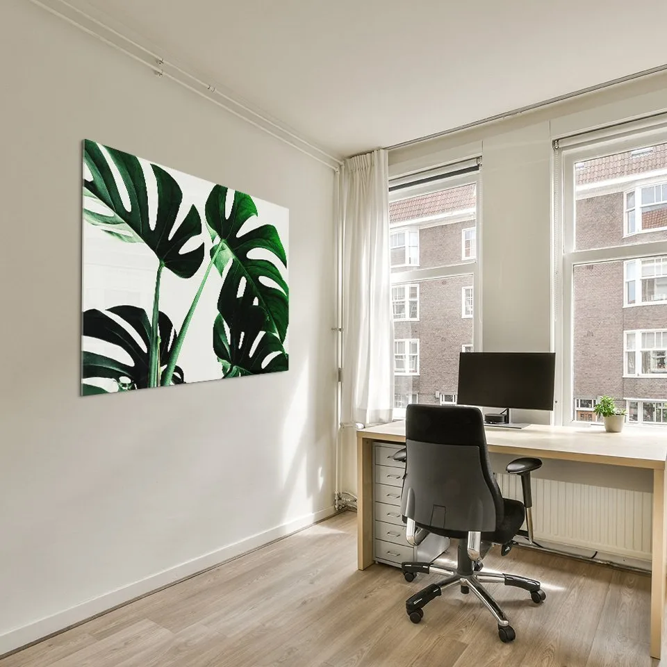 Monstera Monstera - Afbeelding 6