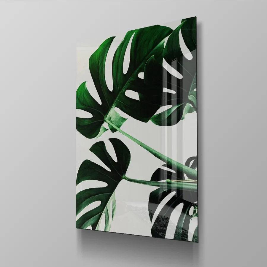 Monstera Monstera - Afbeelding 11
