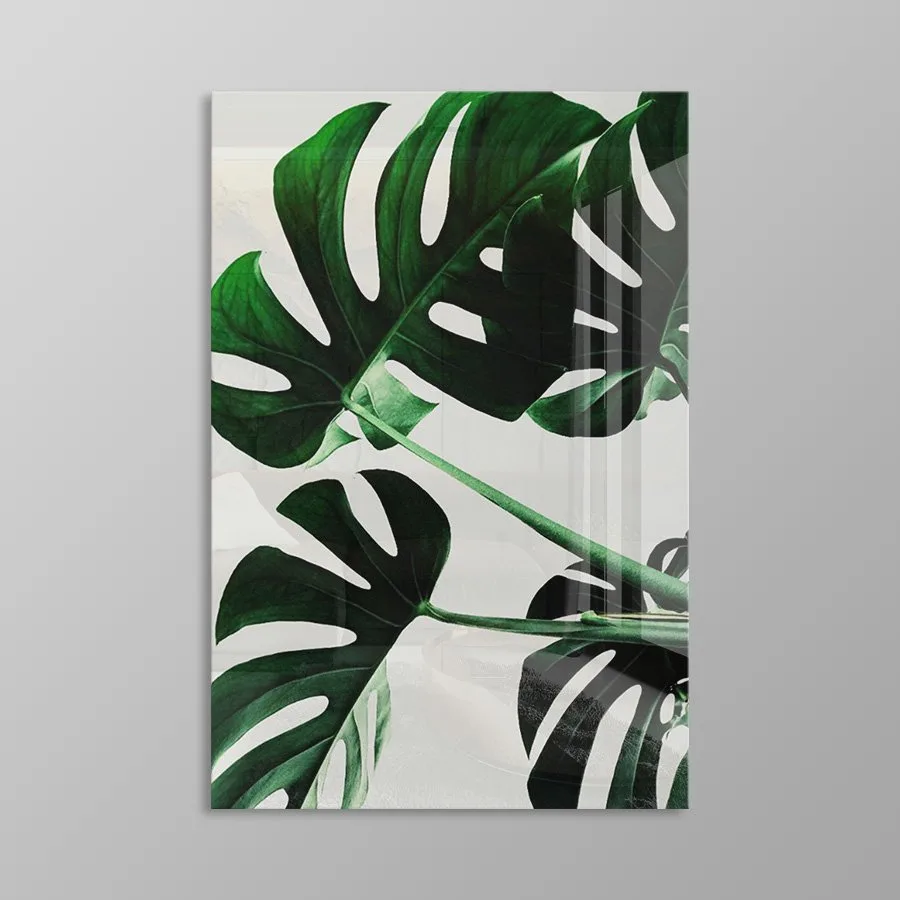 Monstera Monstera - Afbeelding 12