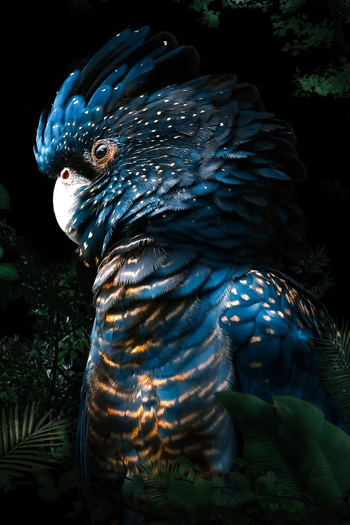 Parrot Parrot