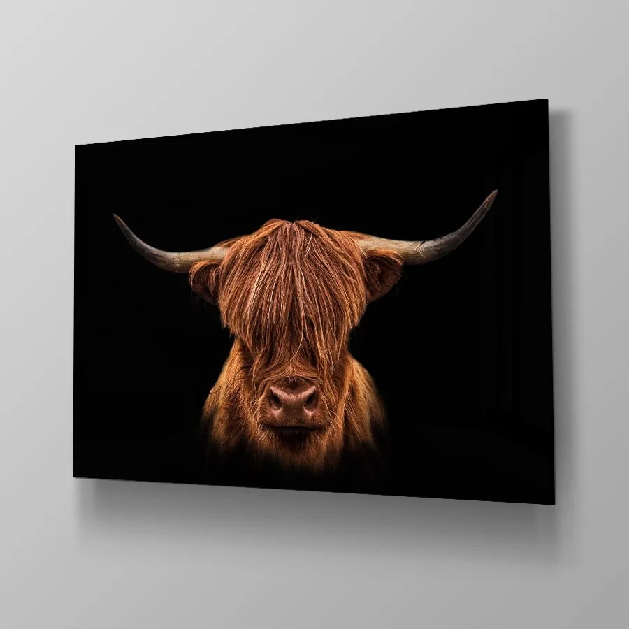 Scottish Highlander Scottish Highlander - Afbeelding 4