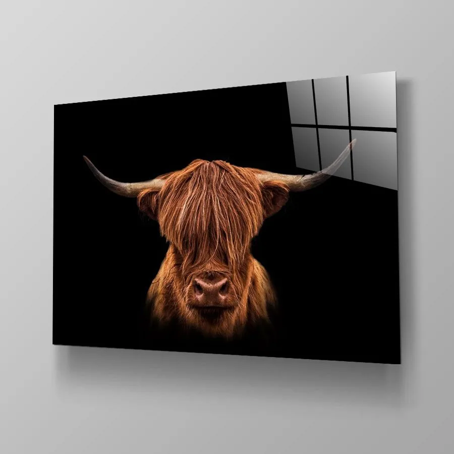 Scottish Highlander Scottish Highlander - Afbeelding 10