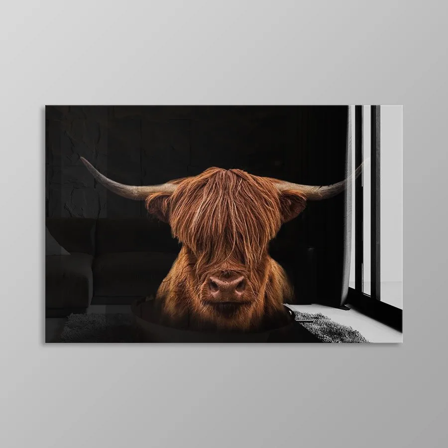 Scottish Highlander Scottish Highlander - Afbeelding 11