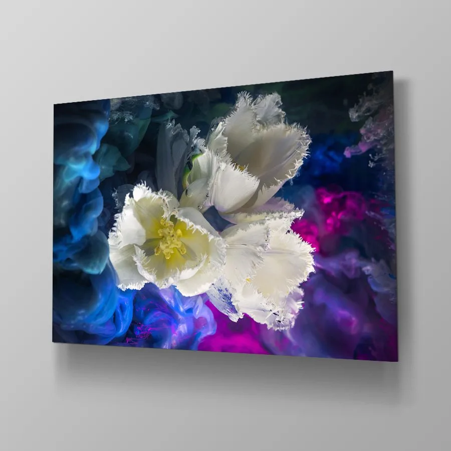 White Tulips - Afbeelding 4