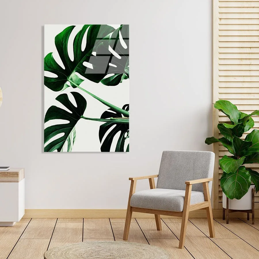 Monstera Monstera - Afbeelding 9