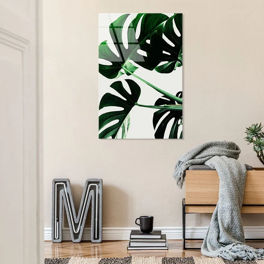 Monstera Monstera - Afbeelding 10