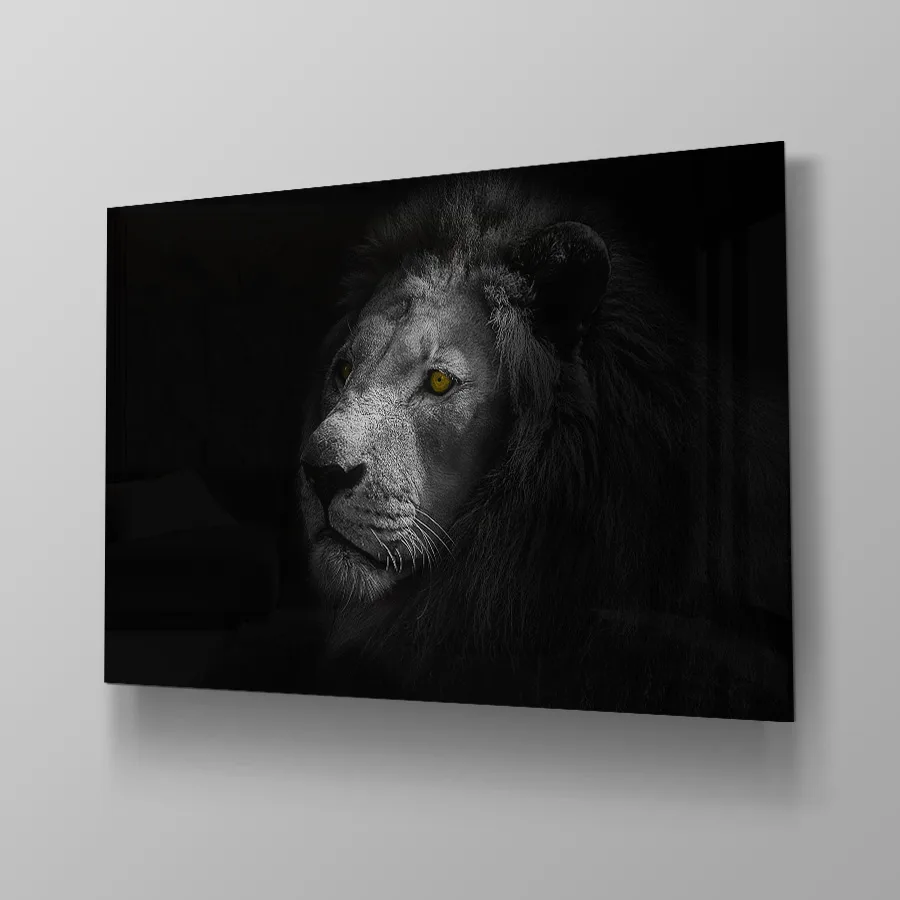 Lion Shadow - Afbeelding 4