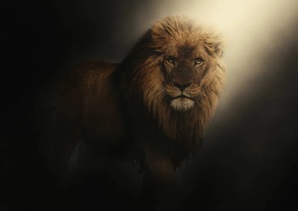Lion on the Spot