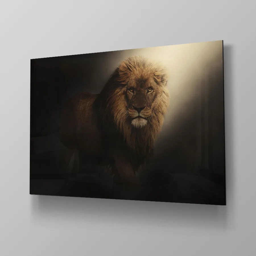 Lion on the Spot - Afbeelding 4