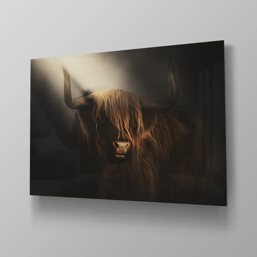 Schotse Hooglander Spotlight Schotse Hooglander Spotlight - Afbeelding 4