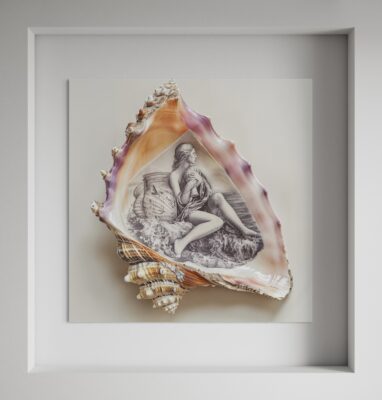 Sea Shell Art #3