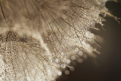 Backlight (Art Frame) Backlight (Art Frame)